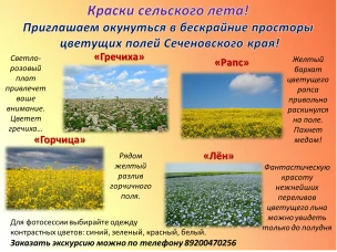 Краски сельского лета! Приглашаем окунуться в бескрайние просторы цветущих полей Сеченовского края!